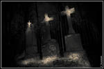 Nachts auf dem Friedhof...